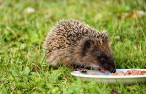 エミナルクリニックの効果は本当にあるのか徹底検証した結果は？