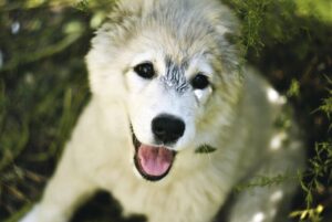 脱毛後の保湿はなぜ必要なのか？