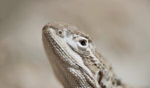 エミナルクリニックのやばい評判とは何か？