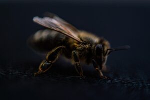 脱毛で剃り残しがあると受けるペナルティとは？