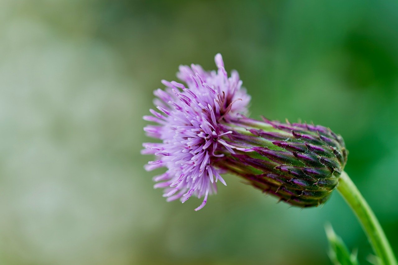 脇脱毛におすすめのサロンはどこ？