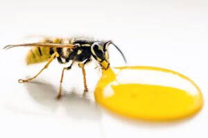脱毛前日に飲酒するとどうなるの？