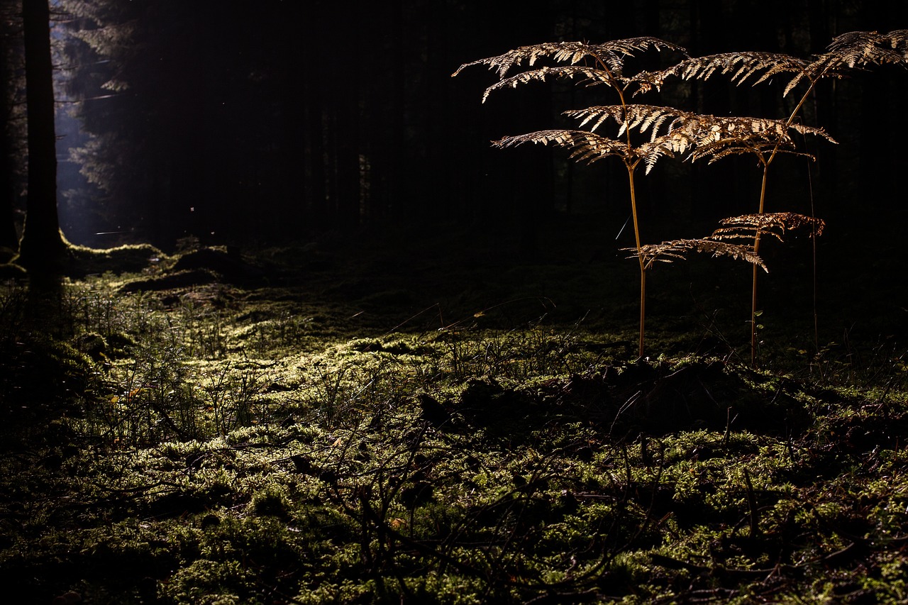 全身脱毛で毛穴が目立たない効果は本当なの？