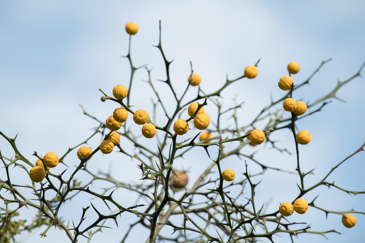 全身脱毛のビフォーアフターでどのような変化が見られるの？