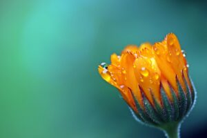 全身脱毛の効果はいつから実感できるのか？