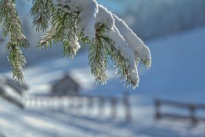 全身脱毛は夏と冬、どっちが効果的？