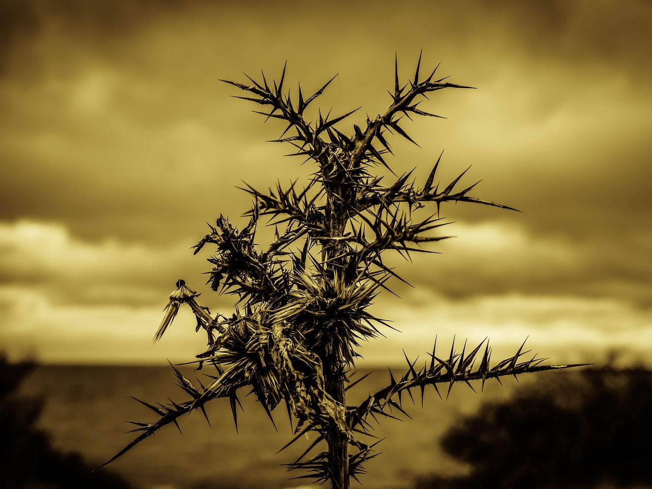 全身脱毛の痛みを軽減する方法は？