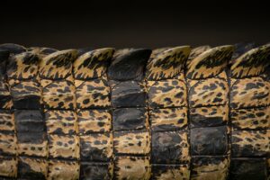全身脱毛による肌ダメージの比較はどのように行えばいいの？