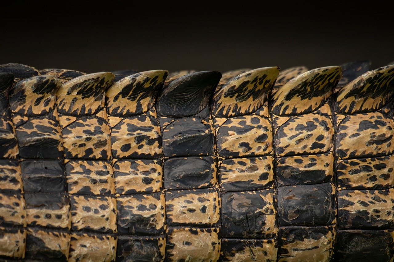 全身脱毛による肌ダメージの比較はどのように行えばいいの？