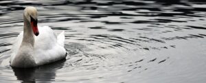 全身脱毛はどのくらい通う必要があるか？