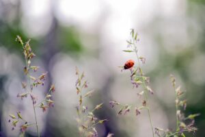 全身脱毛失敗の注意点は何？まとめて解説します！
