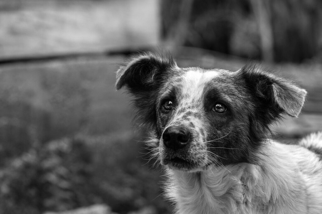 全身脱毛の予約は本当に必要？その理由とメリットを解説！