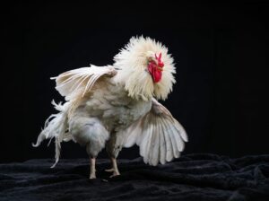 全身脱毛クリニックはどこがおすすめ？